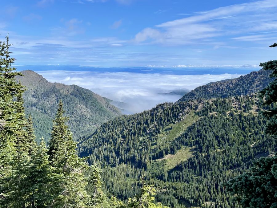 A mountain valley vista under blue sky at Hurricane Ridge